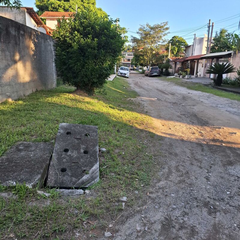 Imagem da publicação