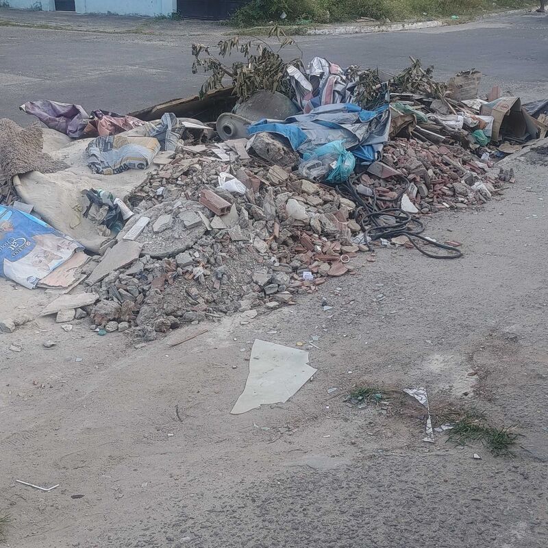 Imagem da publicação