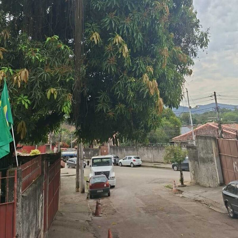 Imagem da publicação