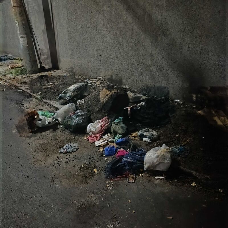 Imagem da publicação