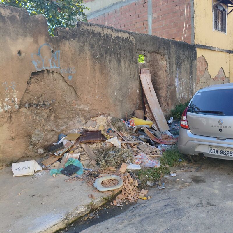 Imagem da publicação