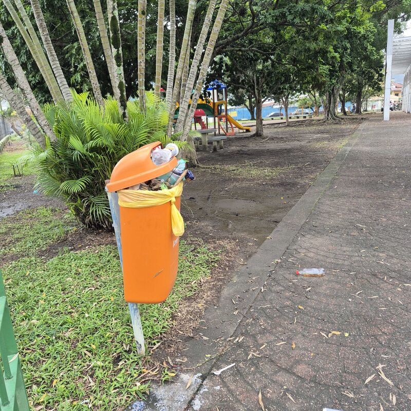 Imagem da publicação