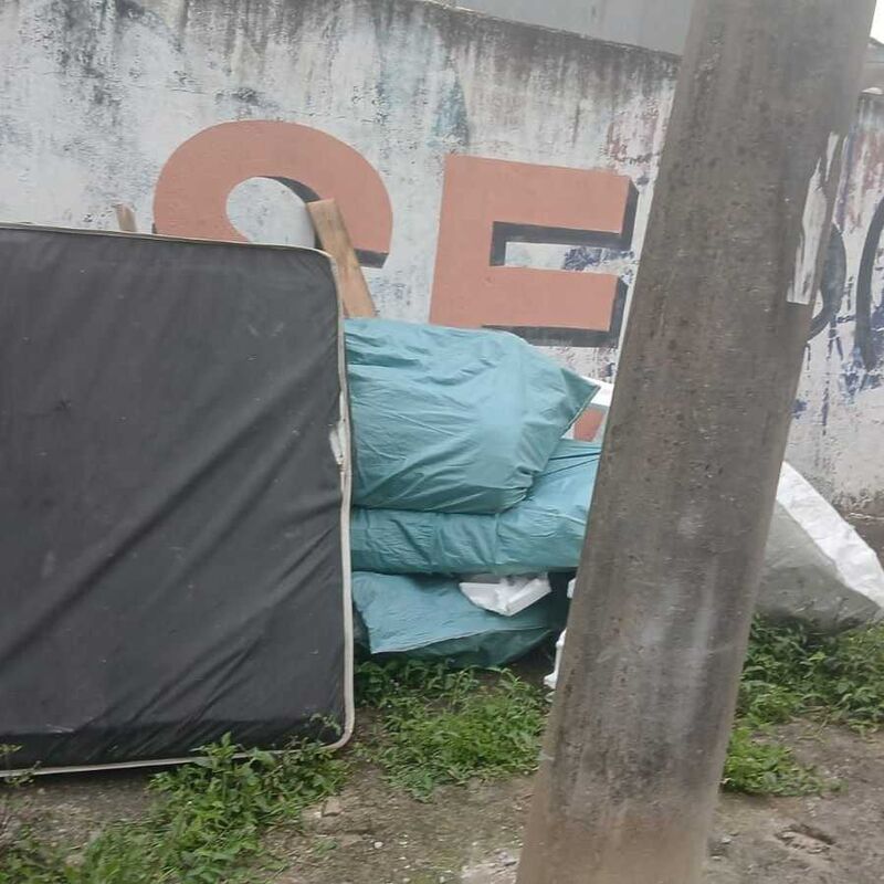 Imagem da publicação