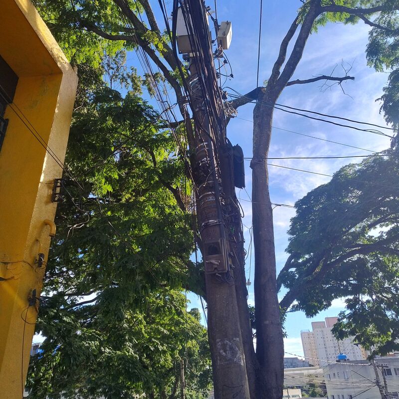 Imagem da publicação