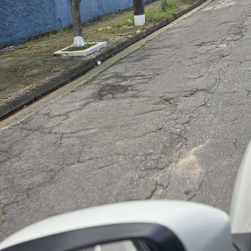 Imagem da publicação