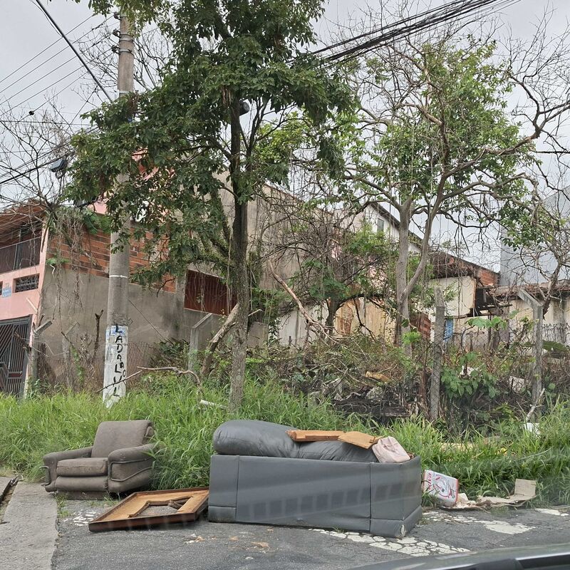 Imagem da publicação