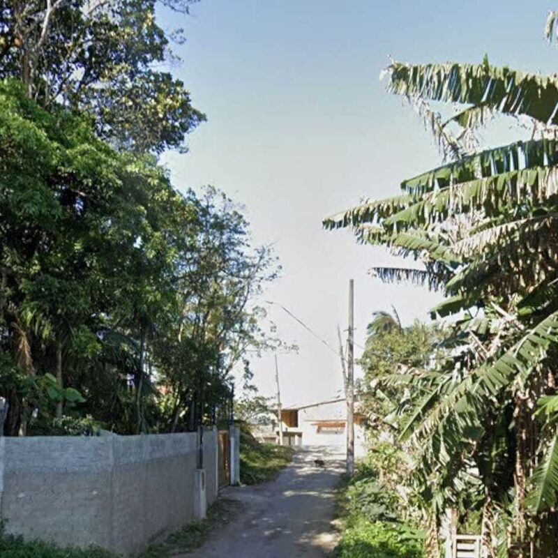 Imagem da publicação