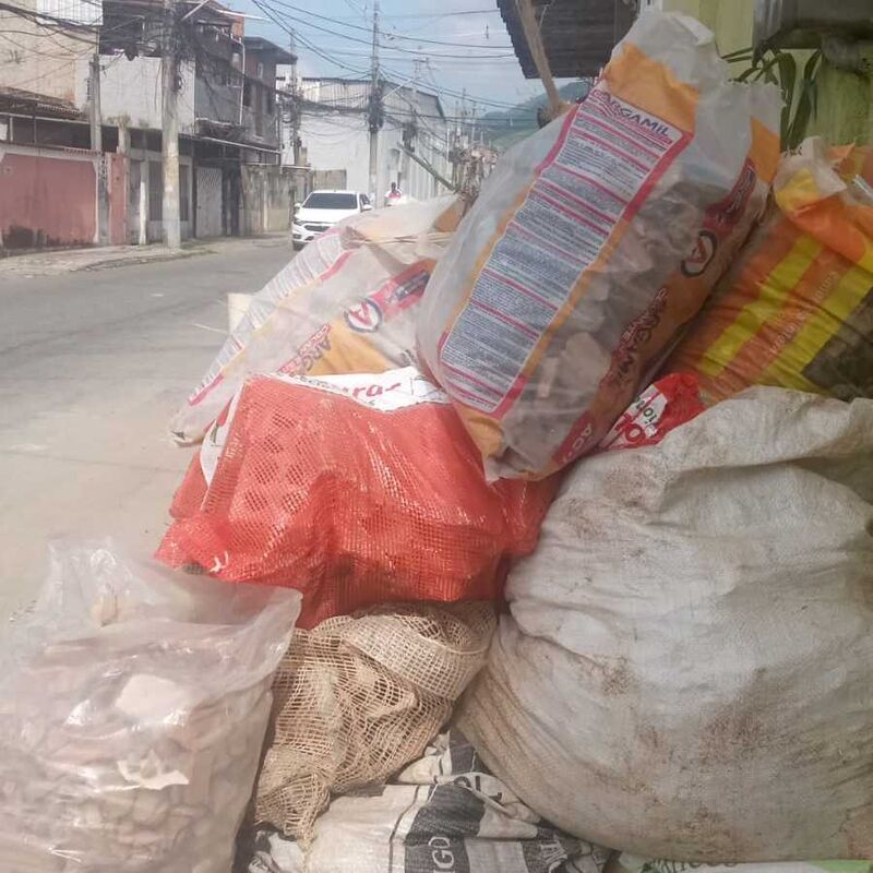 Imagem da publicação