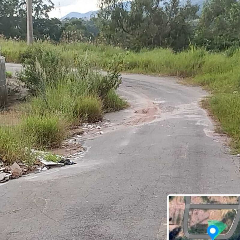 Imagem da publicação