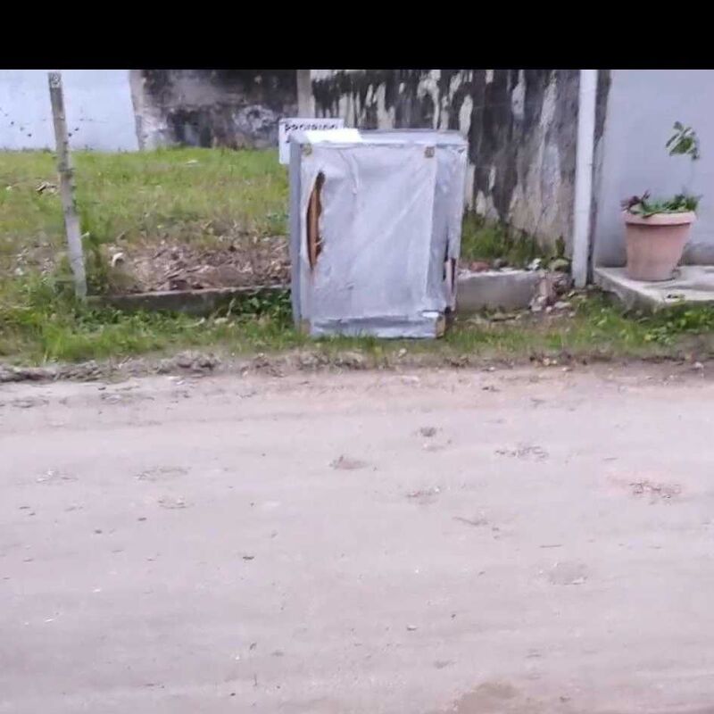 Imagem da publicação