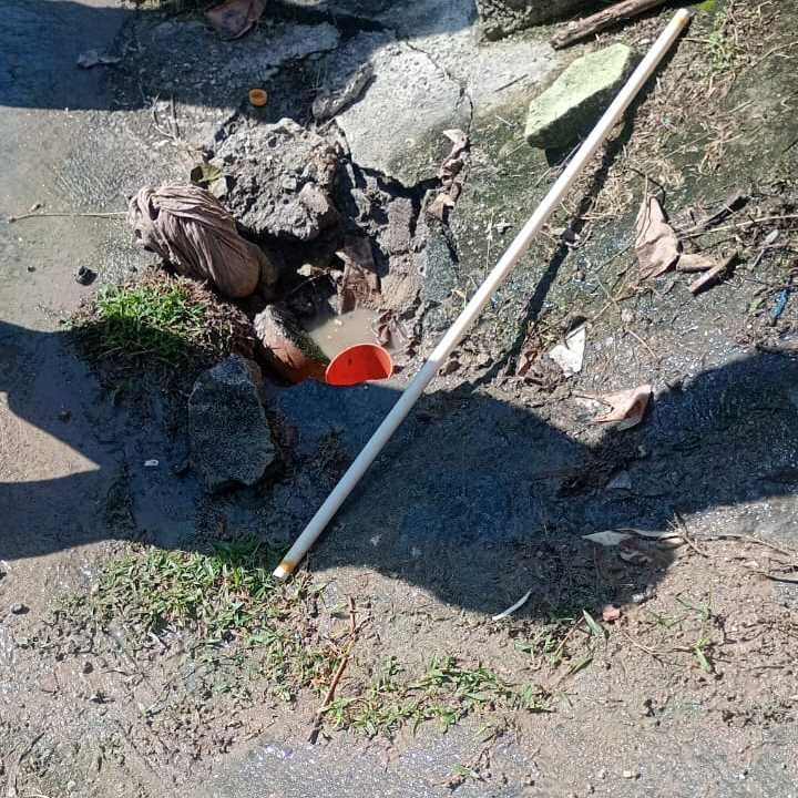Imagem da publicação