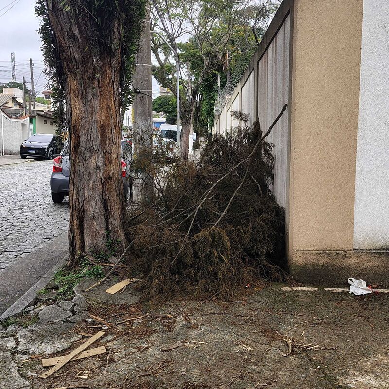Imagem da publicação