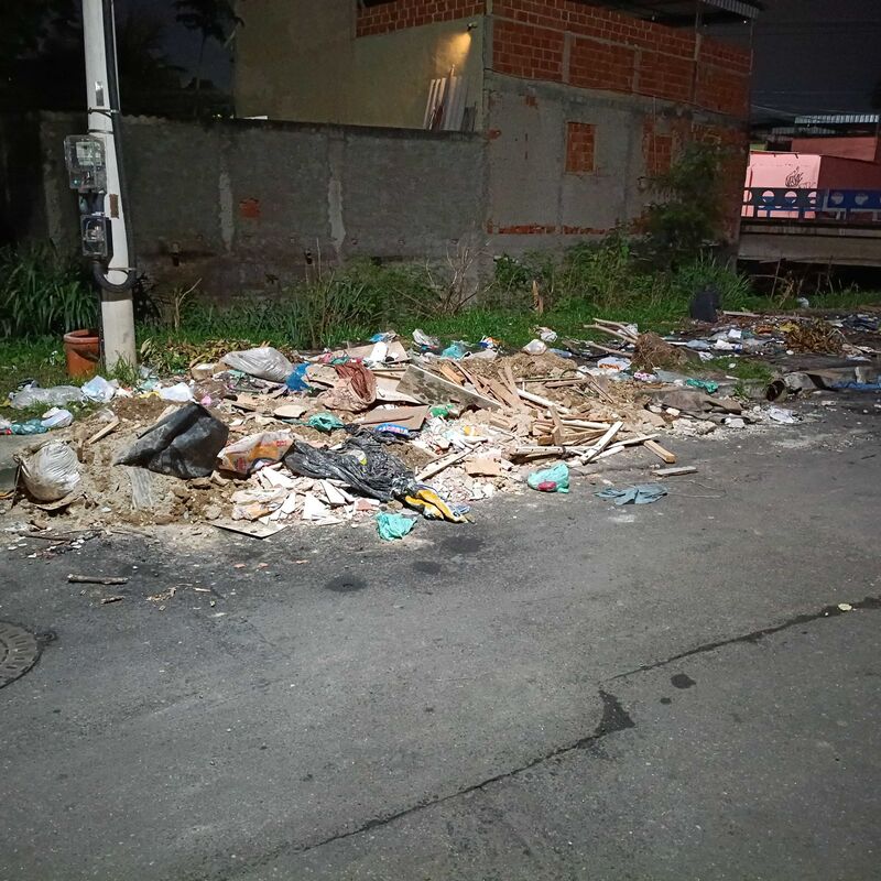 Imagem da publicação