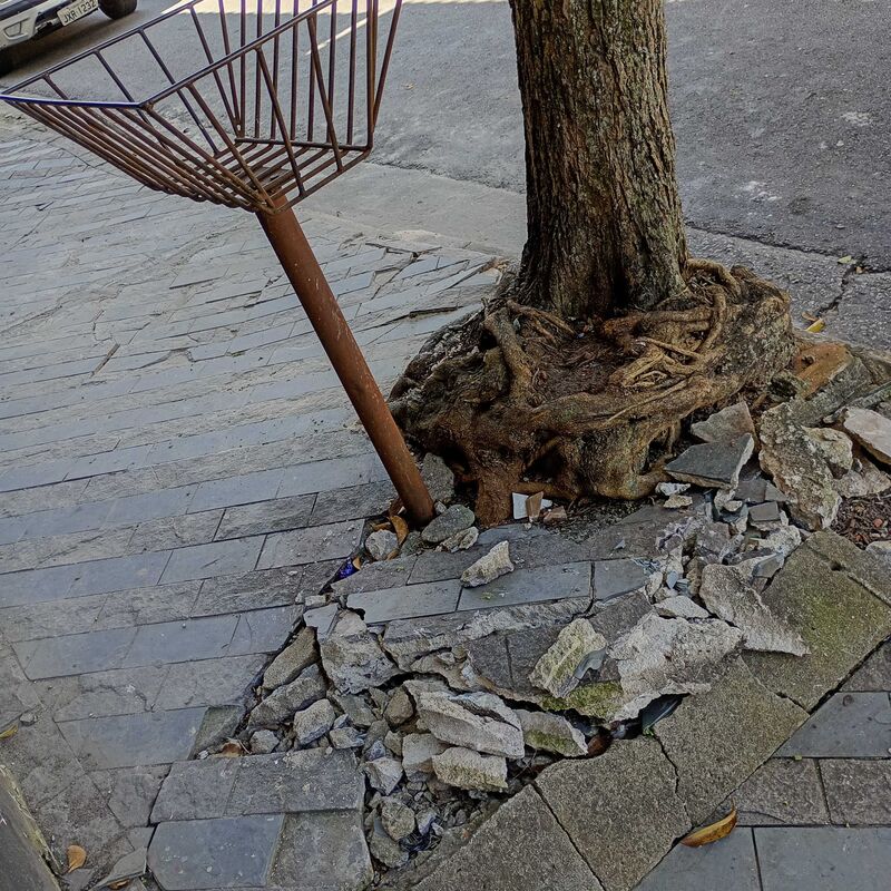 Imagem da publicação