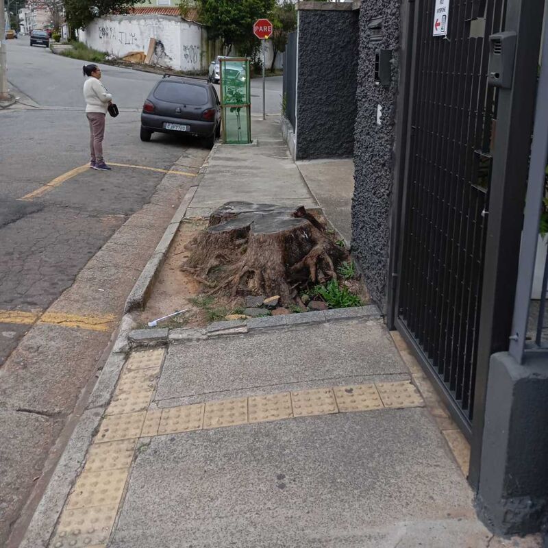 Imagem da publicação