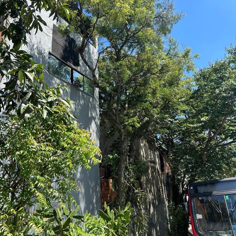 Imagem da publicação