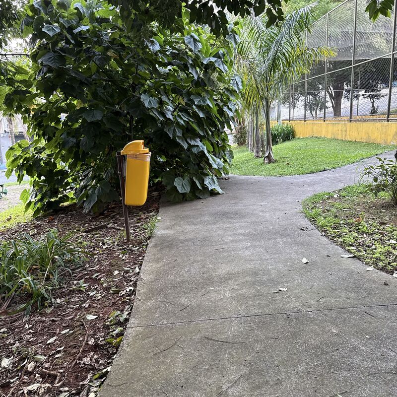 Imagem da publicação