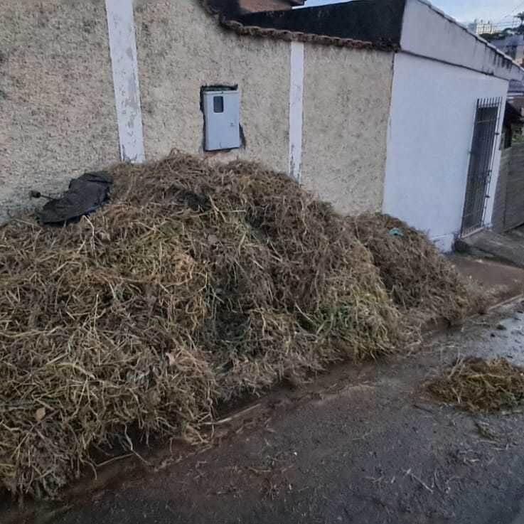 Imagem da publicação