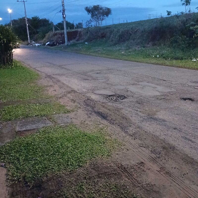 Imagem da publicação