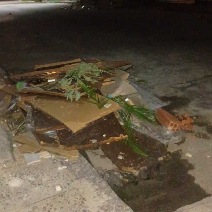 Imagem da publicação