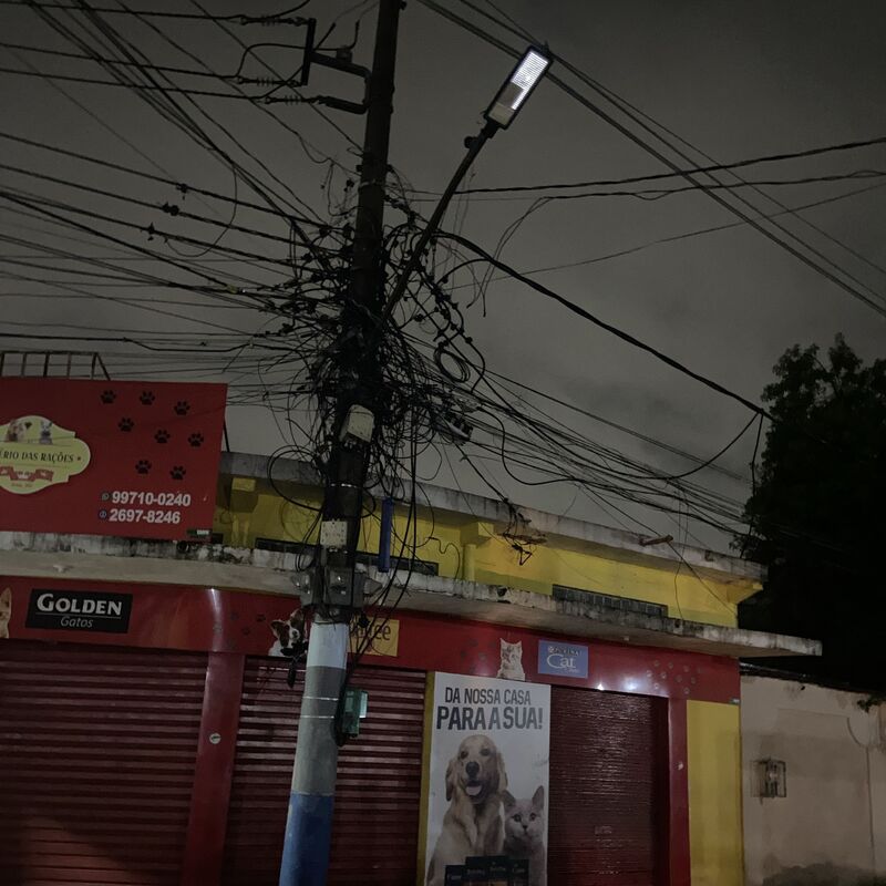 Imagem da publicação