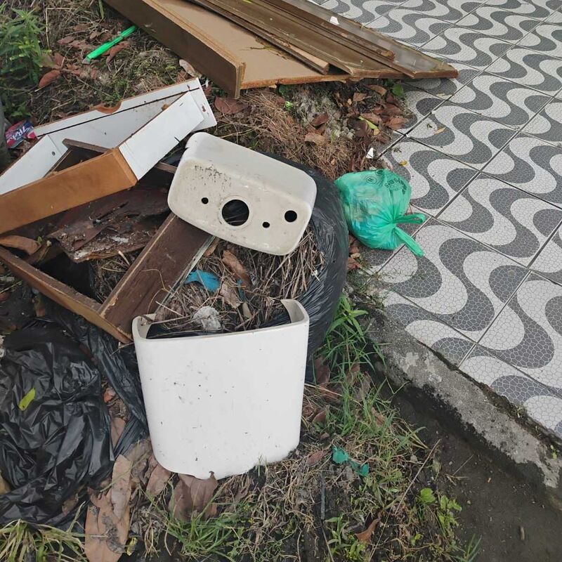 Imagem da publicação