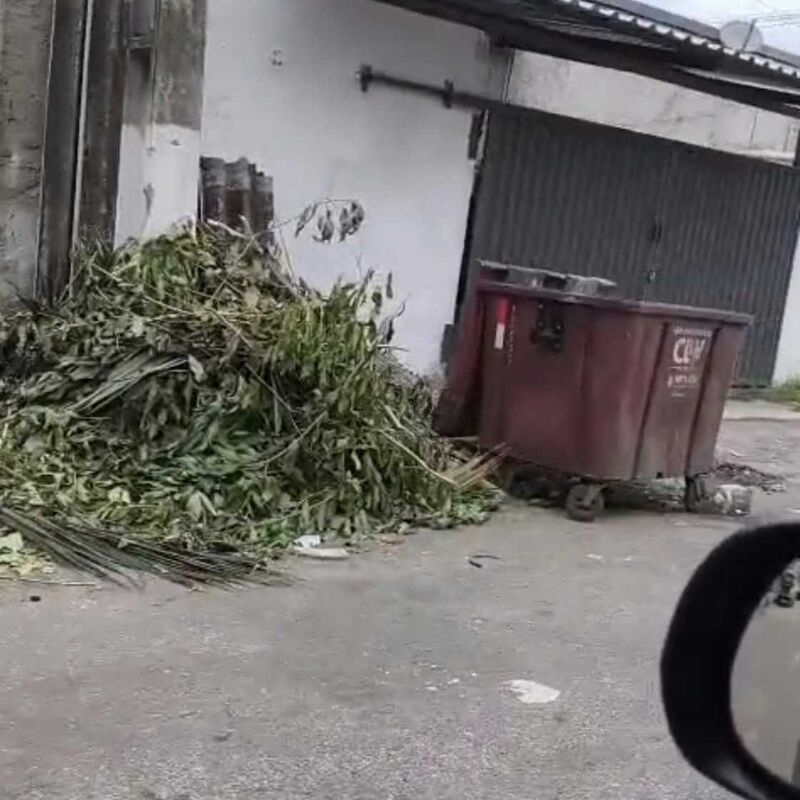 Imagem da publicação