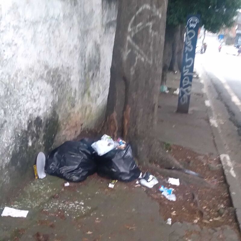 Imagem da publicação