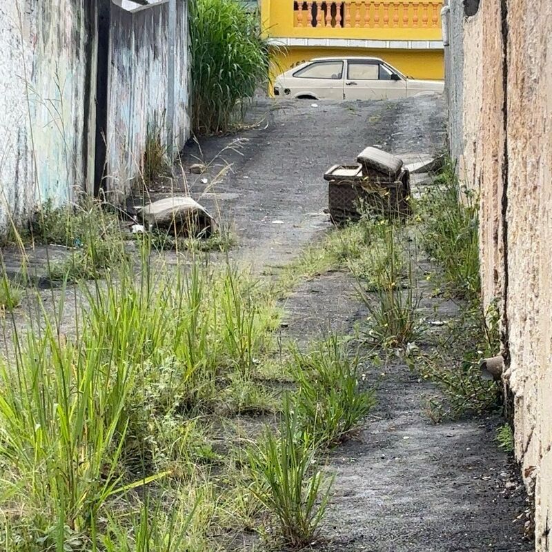 Imagem da publicação