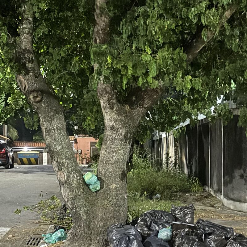 Imagem da publicação