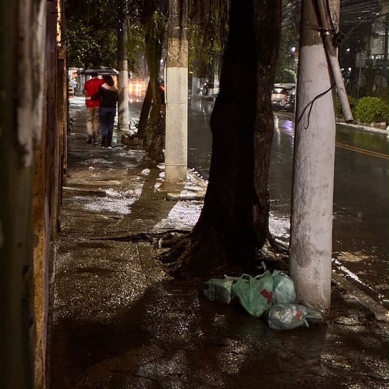 Imagem da publicação