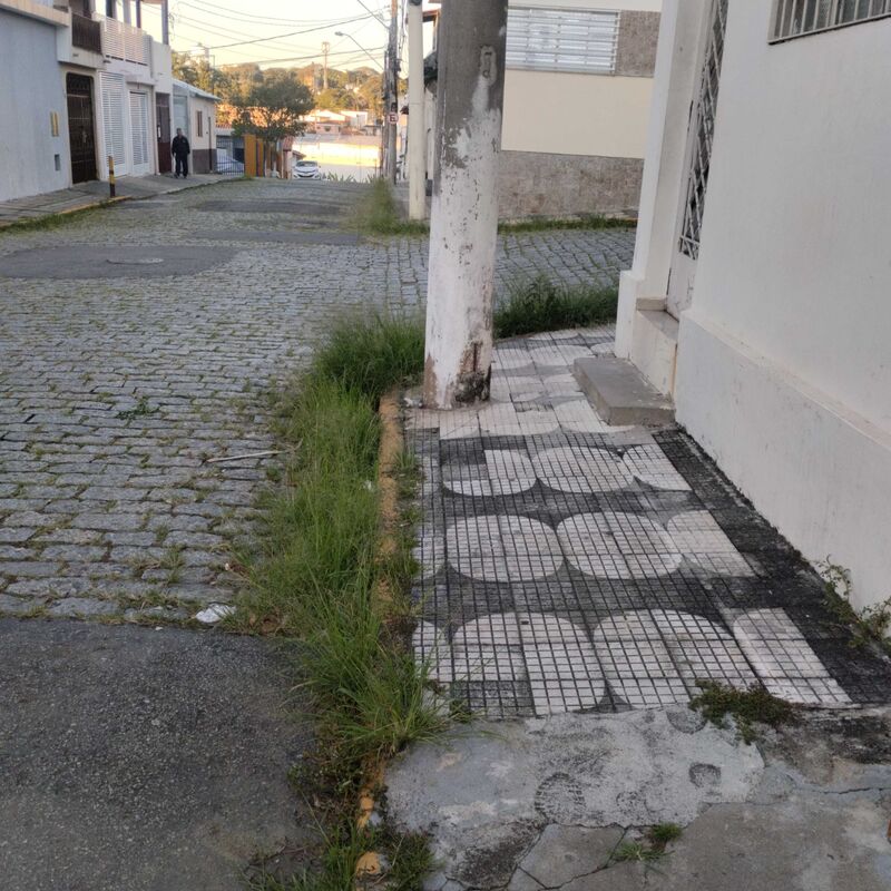 Imagem da publicação