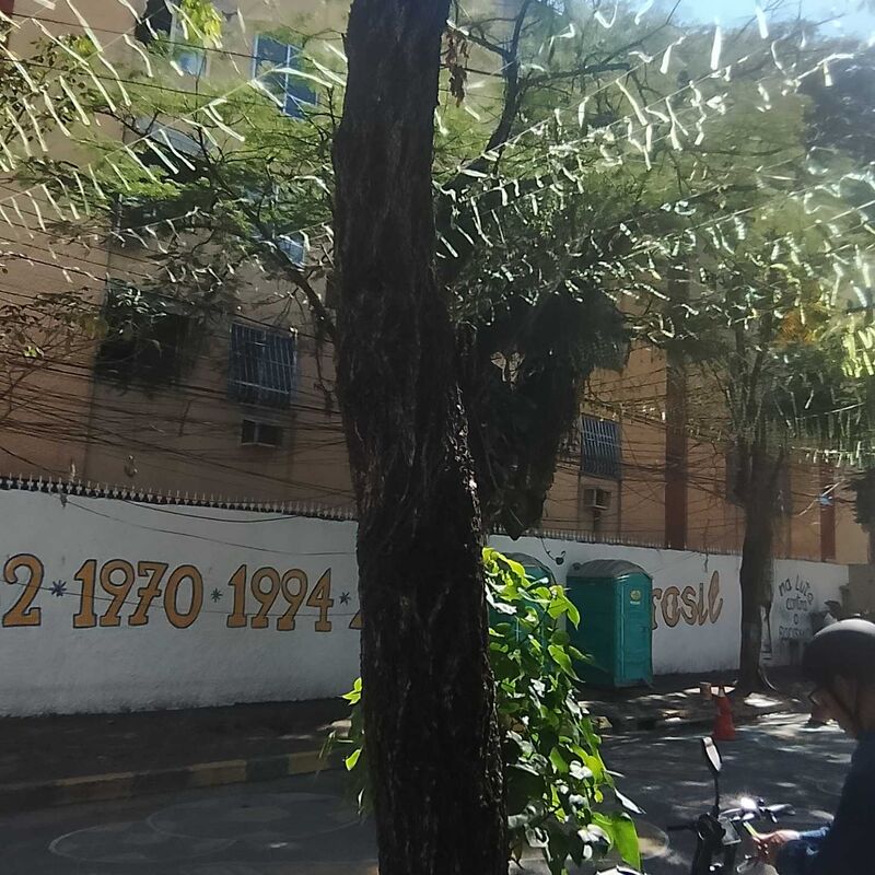 Imagem da publicação