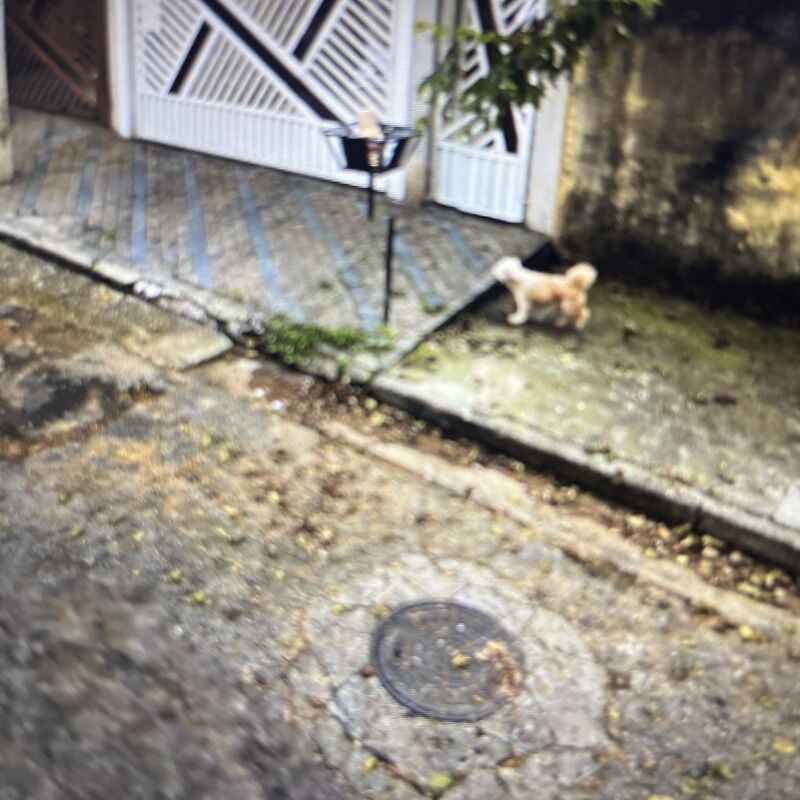Imagem da publicação