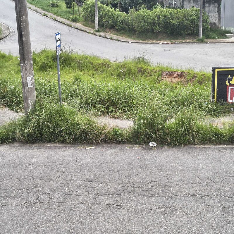 Imagem da publicação