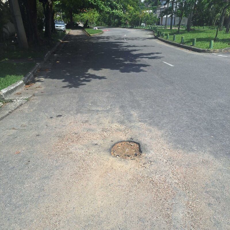 Imagem da publicação