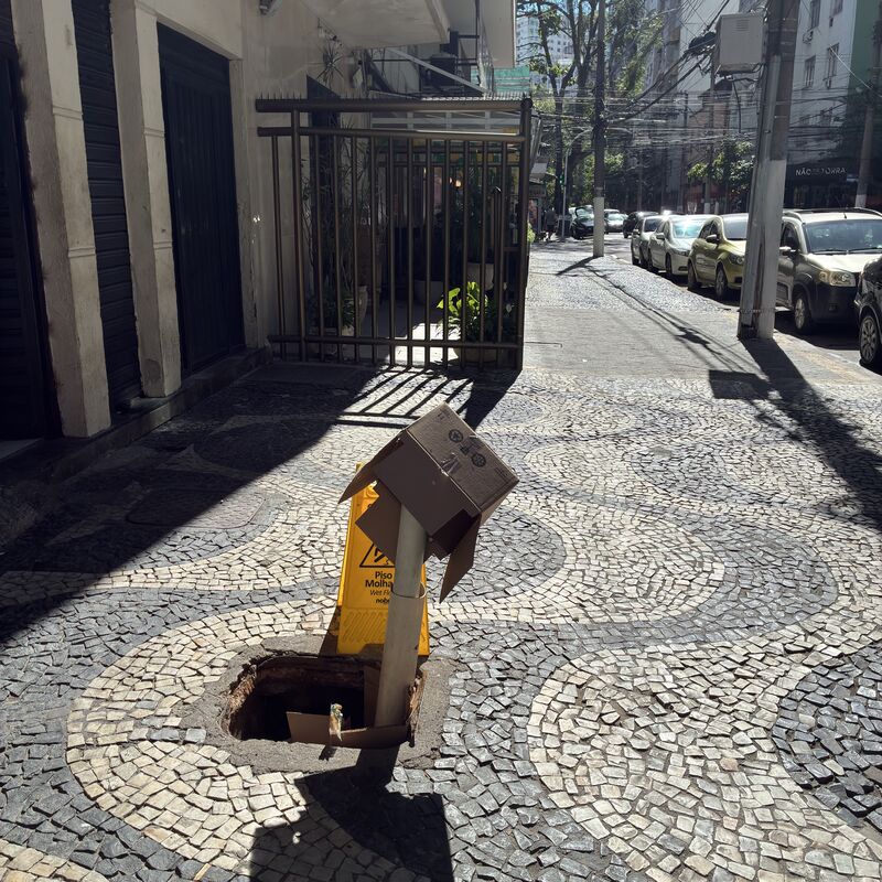 Imagem da publicação