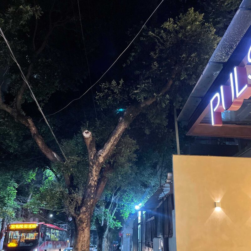 Imagem da publicação