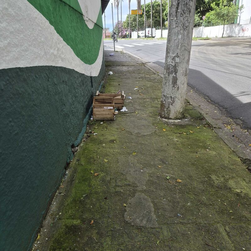 Imagem da publicação