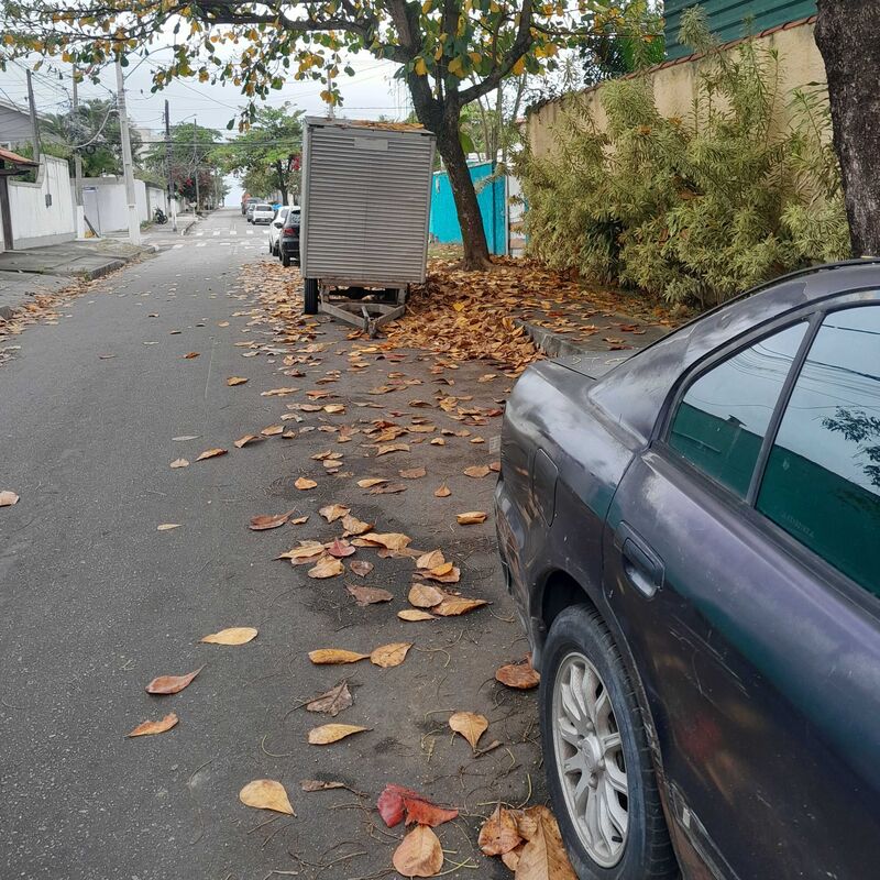 Imagem da publicação