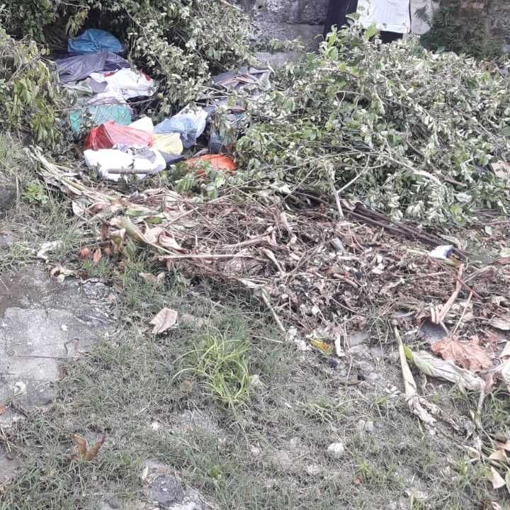 Imagem da publicação