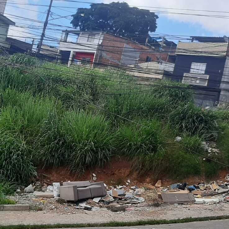 Imagem da publicação