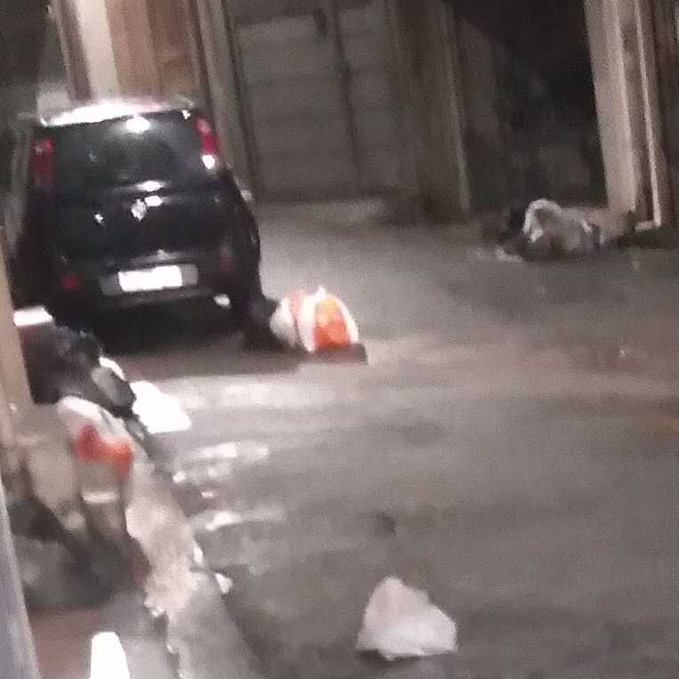 Imagem da publicação
