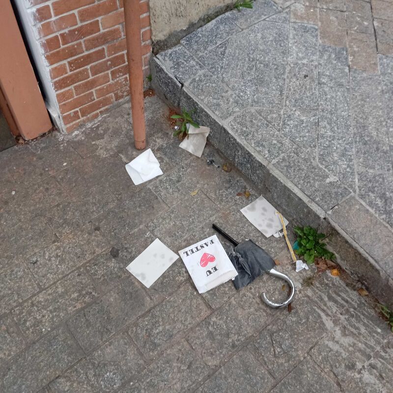 Imagem da publicação