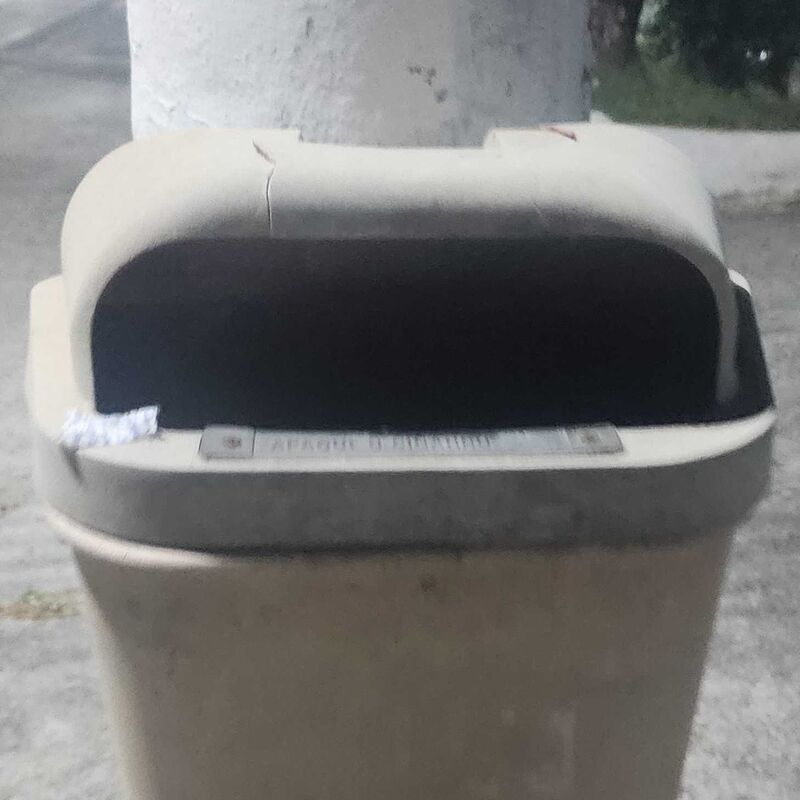 Imagem da publicação