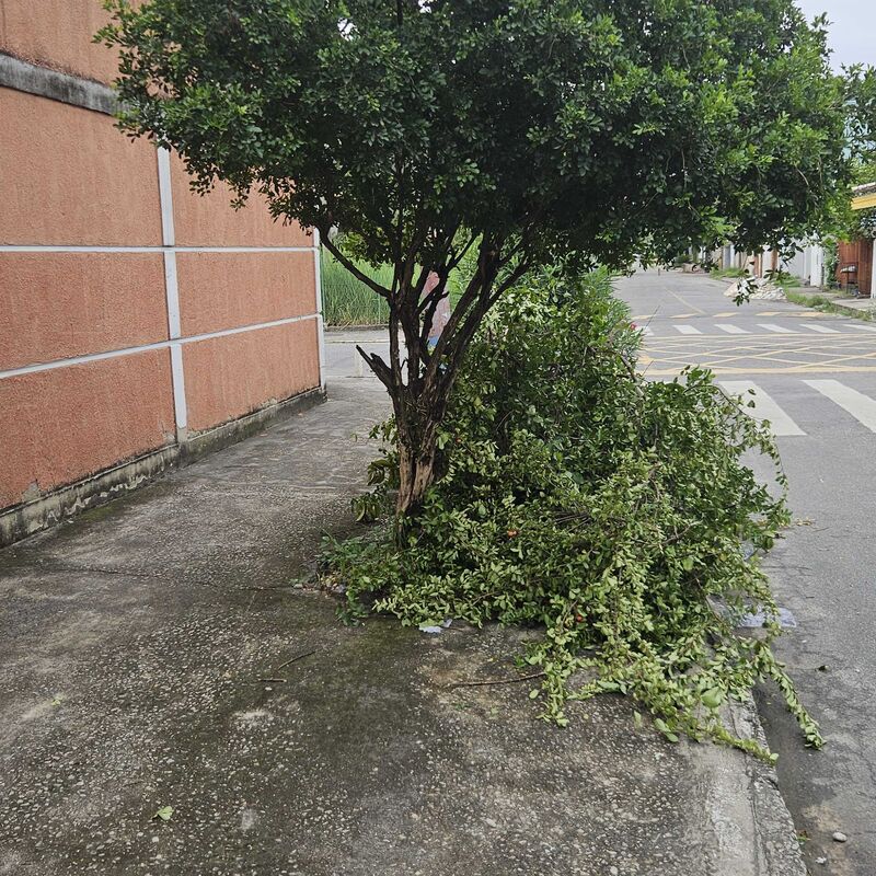 Imagem da publicação