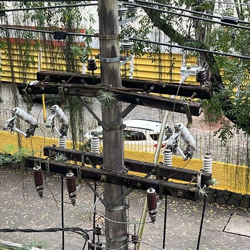 Imagem da publicação