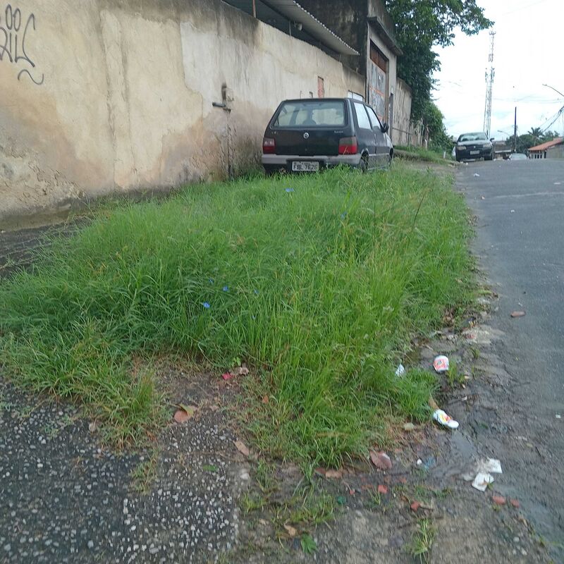 Imagem da publicação