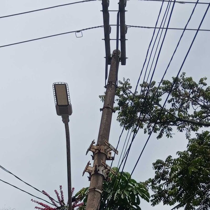 Imagem da publicação