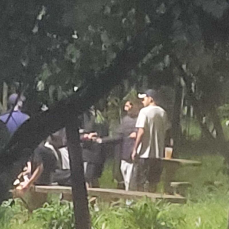 Imagem da publicação